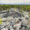 A large body of pegmatite surrounded by boreal forest in northern Canada.