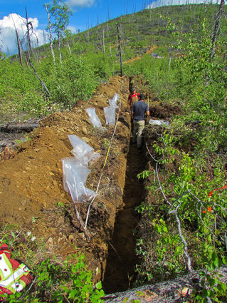 Early-stage gold exploration project western Yukon, Gorilla Minerals