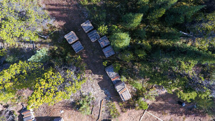A bird's eye view of drill cores staged on pallets at Banyan's AurMac camp.