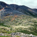 Bear Mountain molybdenum tungsten deposit ANWR northeast Alaska