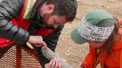 Geologists inspect core from drilling a Northern BC gold-silver prospect.