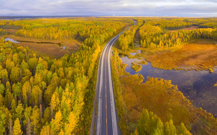 Paved highway cuts across sea of yellow foliage on a fall day in Alaska.