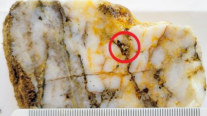 Visible gold found on core sample from drilling at Klondike’s Stander zone.