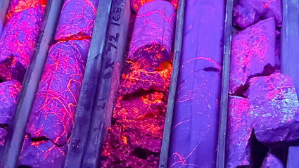Silver-rich massive sulfides in Waterpump drill core glow pink under UV light.