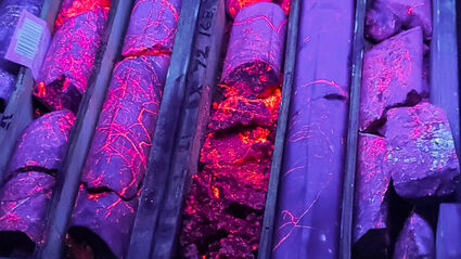 Drill core shows purple with web of neon red silver-zinc-lead veins in UV light.
