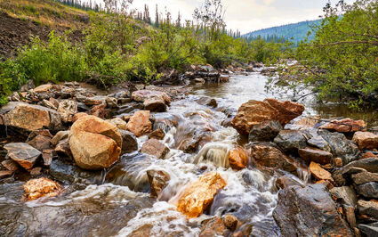 Sustainable mining fish habitat British Columbia Yukon Klondike Apple