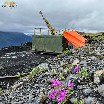 Pink flowers grow out of the rocks near a drill at the Cassiar gold project.