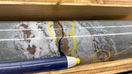 Visible gold speckles on band of brown rock and quartz in Day Zone drill core.