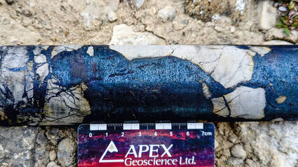 Massive chunks of blue bornite copper mineralization in a section of drill core.