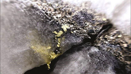 VG in drill core from Colomac gold project NWT